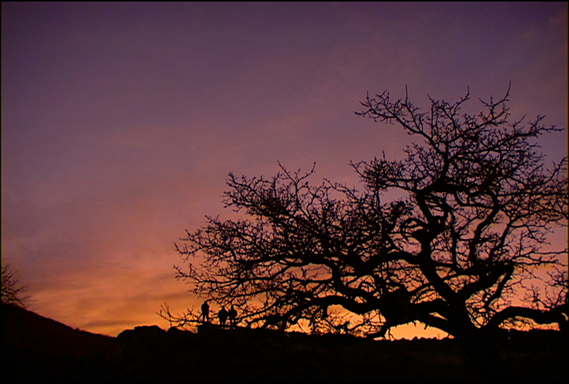 A heartbreaking sunse#AFAF2